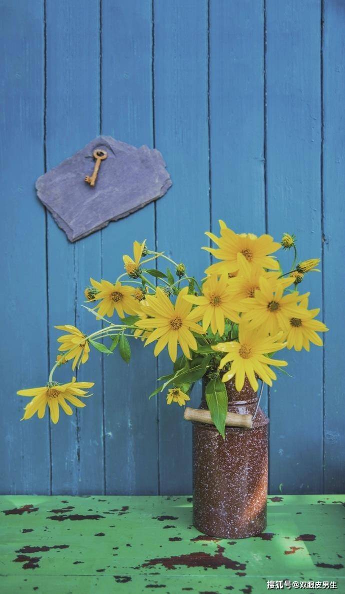 钱包|爆笑尬事,分分钟逗乐你