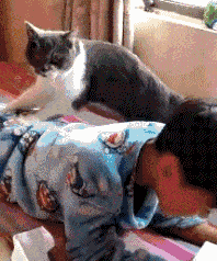 小弟|搞笑GIF：一瞬间，满飞机的马桶纸充满客舱