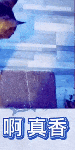 胎毛|我可真是太凶太可怕啦，凶完觉得自己还真是有点帅呢