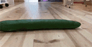 胎毛|我可真是太凶太可怕啦，凶完觉得自己还真是有点帅呢