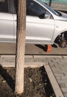 新郎|爆笑GIF图:现在国内妹子供应不足,只能依赖进口了