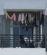 保姆|笑话：父母催婚，花八千租了个女朋友带回家，五天后她哭着要走..