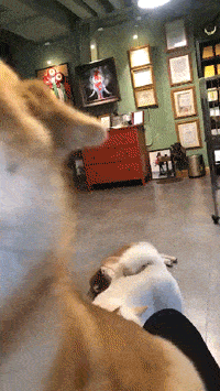 屏保|我拉着女友的手逛街，被妈撞个正着，正要解释，女友...