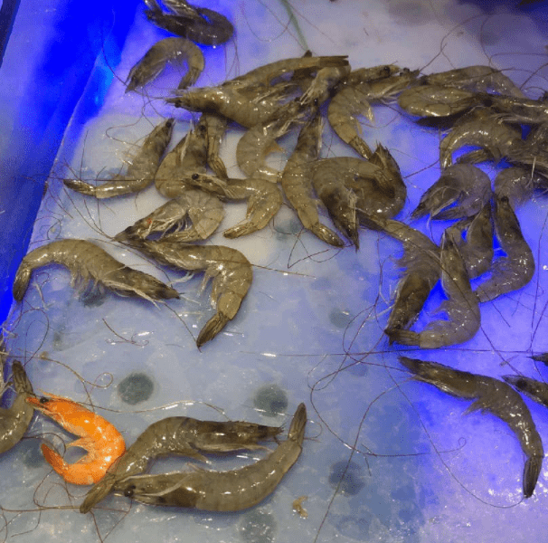 理发店|笑话:开车不小心把妹子撞了,赶紧下车冲过去,看妹子漂亮说道…