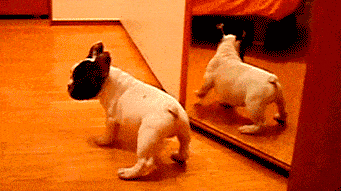 老板|幽默笑话：哥们你别入戏太深了，其实你才是个大骗