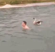 女朋友|爆笑GIF图：大爷，你这表现得太显眼了，藏得藏不住了