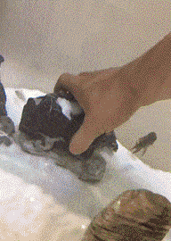 搞笑|爆笑GIF图：和网上的妹子正视频聊天，忽然她身后出现了个大妈