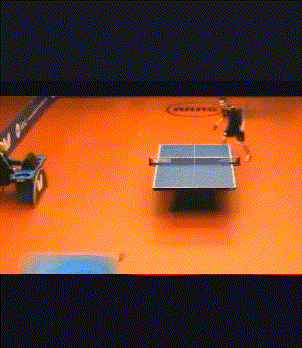 英国|搞笑GIF趣图：妹子，你别躲啊，说好的信任去哪了