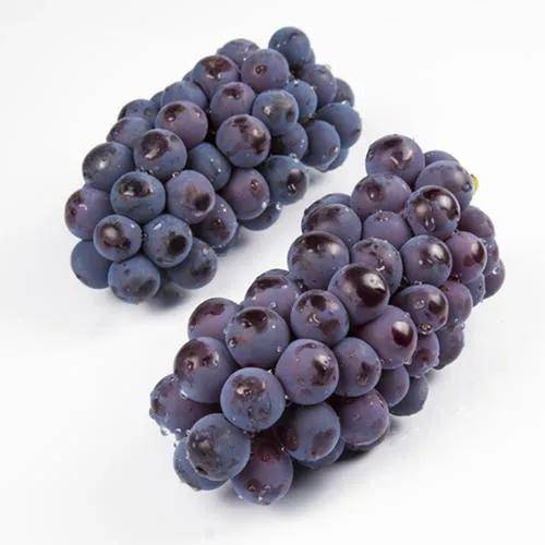 酸味|给爱吃葡萄的朋友