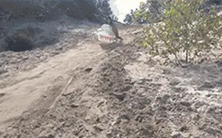 阿童|这下玩大了，新娘被别人亲了