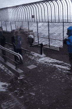 老王|自从有了这阵风，妹子再也不用担心出门会被坏人盯上了