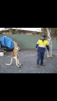 老王|自从有了这阵风，妹子再也不用担心出门会被坏人盯上了