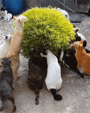 香水|开心一刻：朋友给介绍一对象，发现对方是前男友，他突然开口...