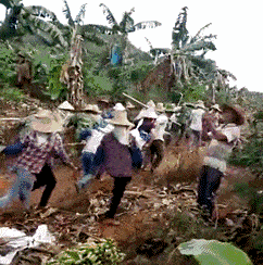 时候|开心一刻：公司聚会，拿错女上司的手机，她发现后，脸一红说...