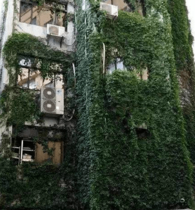 辣椒|第一次上女友家,她爸爸吼道:我女儿才23,你还要不要脸