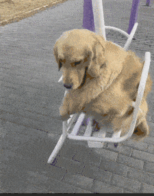 小明|爆笑GIF：美女这是什么动作？