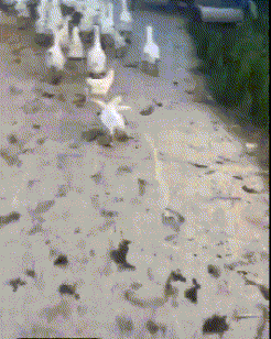 香水|开心一刻：朋友给介绍一对象，发现对方是前男友，他突然开口...