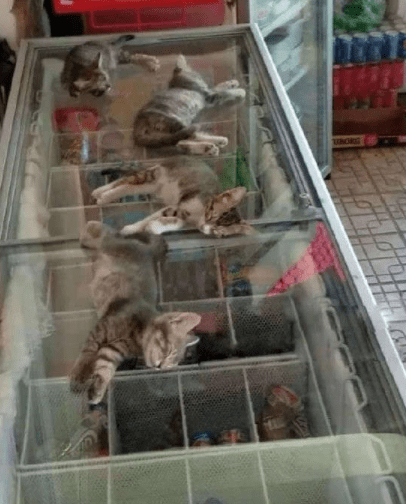 裤子|轻松一笑：嗯，你信了就好，毕竟，我撒个谎也不容易