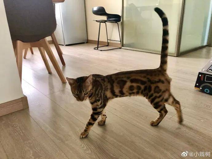 海豹|女生说的野餐VS男生说的野餐