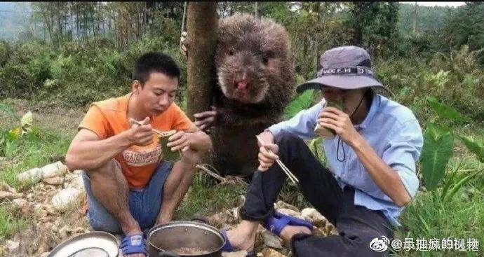 海豹|女生说的野餐VS男生说的野餐