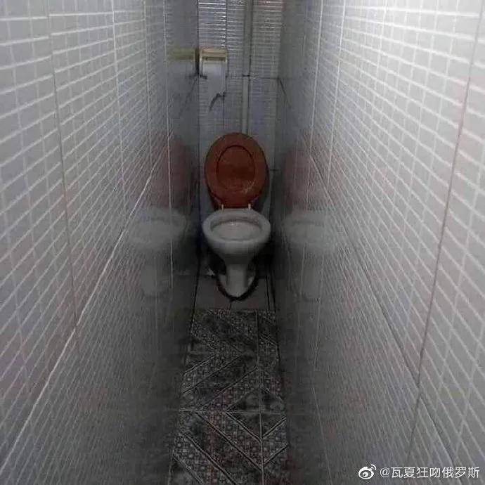 海豹|女生说的野餐VS男生说的野餐