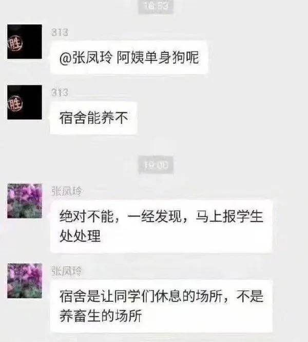 海豹|女生说的野餐VS男生说的野餐