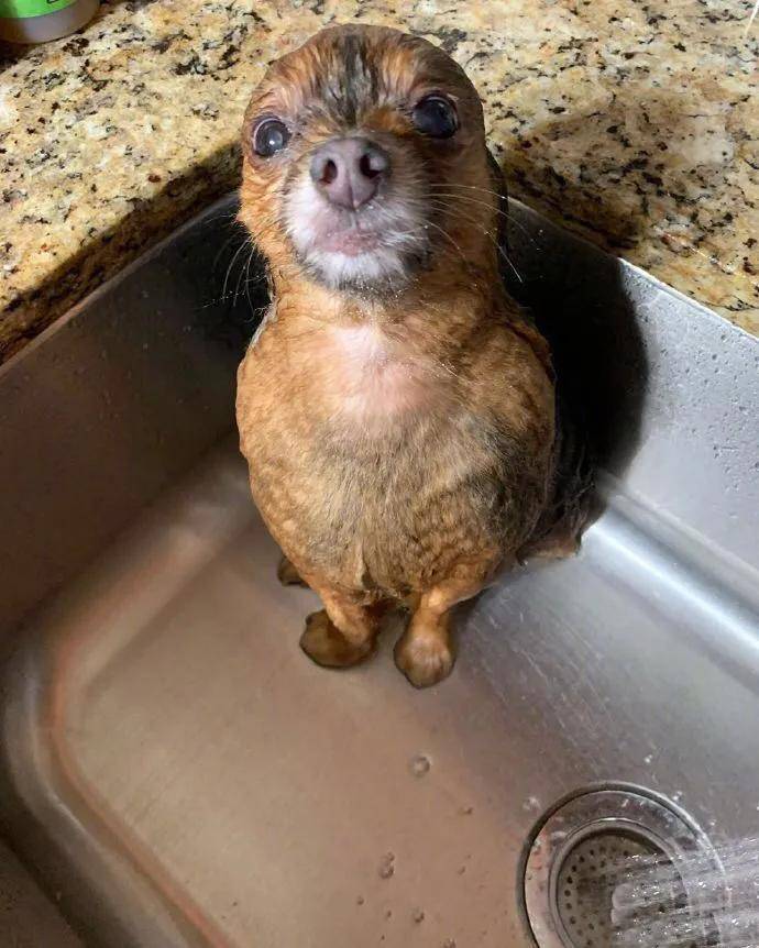 海豹|女生说的野餐VS男生说的野餐