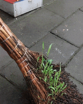 不够|搭地铁时看到一个扎马尾，长得又清秀的女孩。