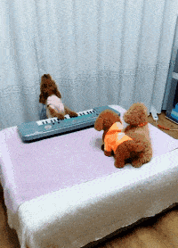 观众|观众：这都两小时过去了，你还没弹完啊