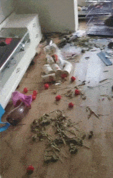 陈小春|幽默笑话不笑你来找我：表弟结婚是闪婚，婚后小两口天天吵架