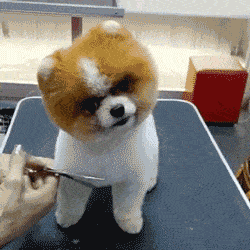 杰森|刚交一男朋友，标准的型男，第一次带他回家。