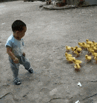 寡不敌众|输了输了,寡不敌众啊!