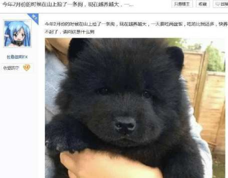 系里|从小就傻成这样，长大了咋整