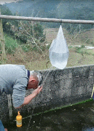 系里|从小就傻成这样，长大了咋整