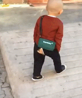 寡不敌众|输了输了,寡不敌众啊!