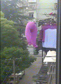 嗡嗡|宿舍突然来了一位阿姨,她往宿舍看了一圈。