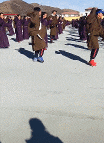 甲鱼|妹子你可真厉害,还敢把手指放在甲鱼嘴边,怎么样它不松口了吧