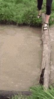 段子|爆笑GIF:妹子你一个手机聊不过来吗?