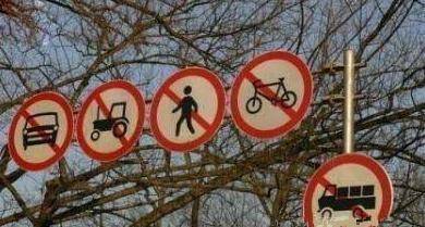 甲鱼|妹子你可真厉害,还敢把手指放在甲鱼嘴边,怎么样它不松口了吧