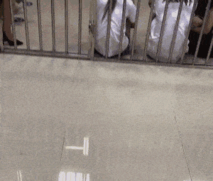 醉拳|要不是你今天喝多还不知道不还会醉拳呢