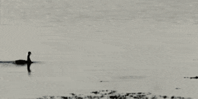 女妖精|搞笑GIF:小姐姐太美了,这眼神动作牵动着我的心啊