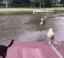 女妖精|搞笑GIF:小姐姐太美了,这眼神动作牵动着我的心啊