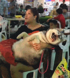 醉拳|要不是你今天喝多还不知道不还会醉拳呢