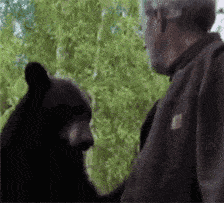 段子|爆笑GIF:这样的妹子很难得,她会让你的生活多姿多彩