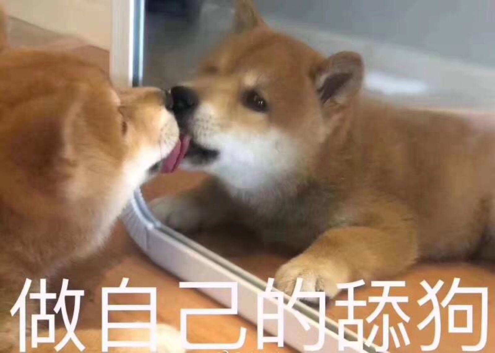 抠门|神回复段子：有个抠门的男朋友是啥体验？女生含泪吐槽