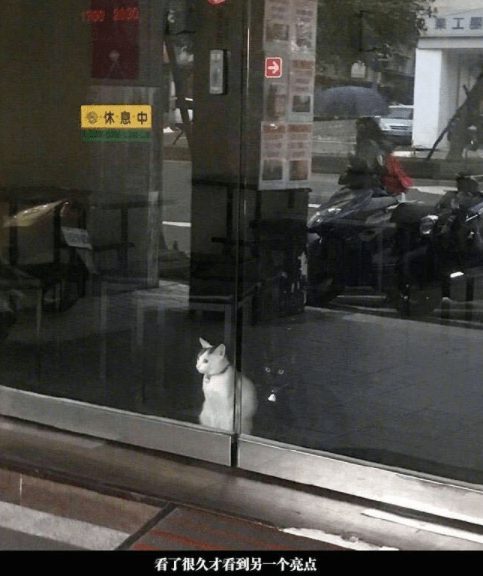 决策|开心一刻：借女同事手机玩游戏，手误打开了相册，她大喊...