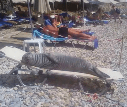 灯笼|搞笑段子：年过35的中年汉，终于鼓起勇气参加电脑征婚