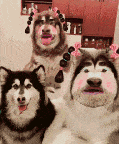 决策|开心一刻：借女同事手机玩游戏，手误打开了相册，她大喊...