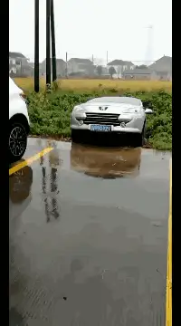 决策|开心一刻：借女同事手机玩游戏，手误打开了相册，她大喊...