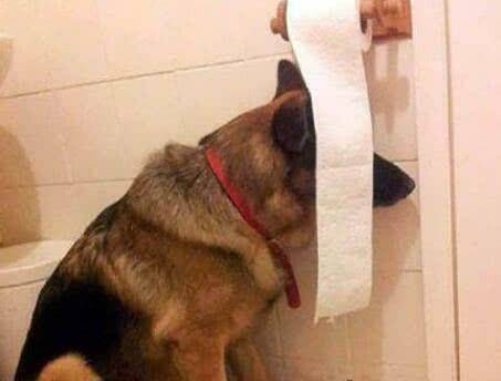 侄儿|搞笑GIF：弟兄们快跑吧，这个人有点二